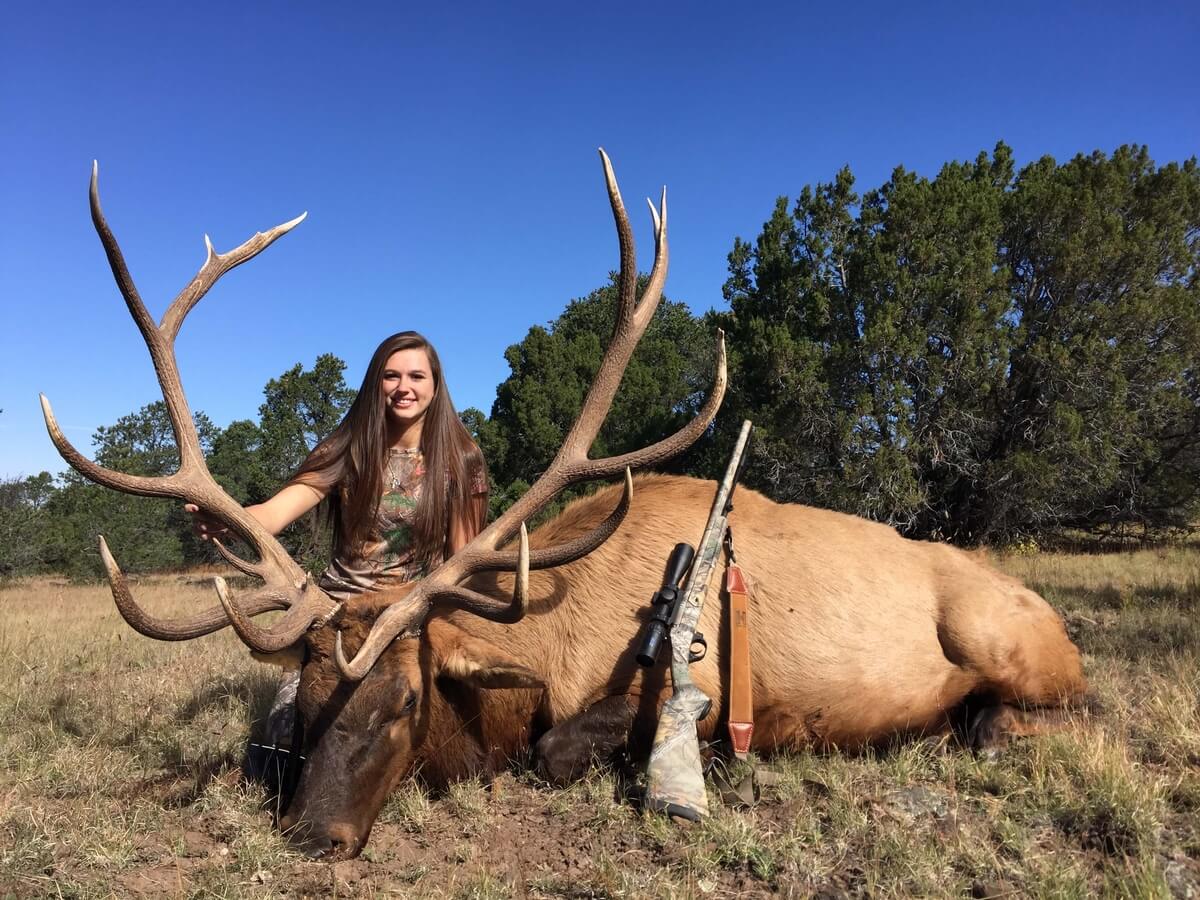 Elk Rifle Hunts